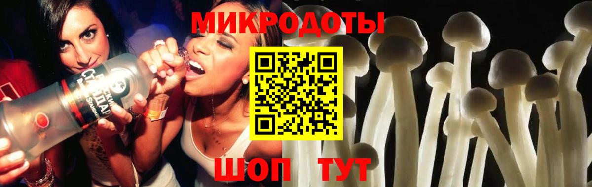 Галлюциногенные грибы прущие грибы Десногорск